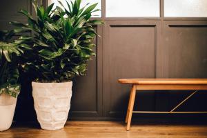 a plant in a vase next to a wooden table at Hotel Emeline in Charleston