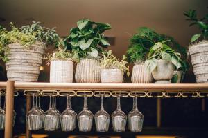 a shelf with several potted plants and wine glasses at Hotel Emeline in Charleston