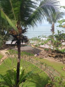 vista sulla spiaggia da un resort con una palma di CONDOMINIUM LIPPO PANTAI CARITA a Carita