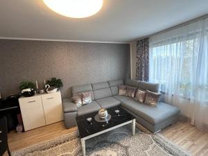 ein Wohnzimmer mit einem Sofa und einem Tisch in der Unterkunft BS Business Travelling Hannover City in Hannover