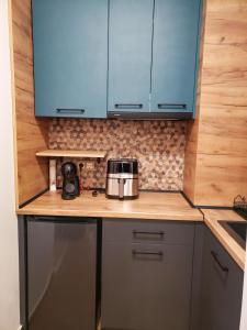 A kitchen or kitchenette at Borovets Forest view (A56)