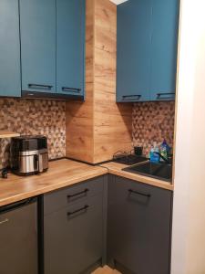 A kitchen or kitchenette at Borovets Forest view (A56)