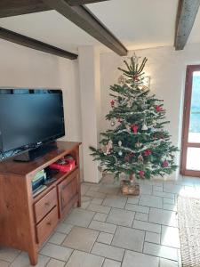 a christmas tree in a living room with a tv at Ferme des boudieres in Fresse-sur-Moselle
