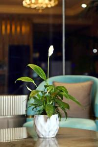 Istumisnurk majutusasutuses BluSalzz Residence Amritsar
