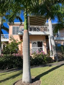 une maison avec des palmiers devant elle dans l'établissement Royal Palm Villas, 