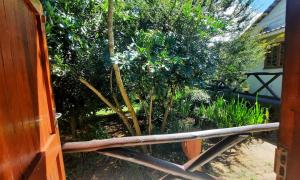 an open door to a garden with a tree at Mountain Valley Cottage in Byrne