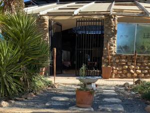 une entrée avant d'une maison avec des plantes en pot dans l'établissement Kappsfarm Guesthouse, à Voigtland