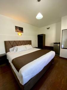 a bedroom with a large bed in a room at La casa de theo in Arequipa