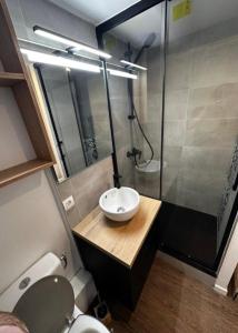 a bathroom with a sink and a shower and a toilet at Résidence Andromède in Belle Plagne