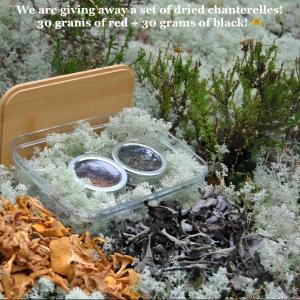 um recipiente de plástico com duas tigelas de musgo e plantas em SResort Saunas - hot tub, palju em Imatra