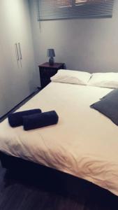 um quarto com uma cama com duas almofadas em Wild Olive Inn 62 em Windhoek