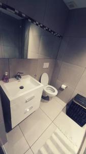 uma casa de banho com um lavatório branco e um WC. em Wild Olive Inn 62 em Windhoek