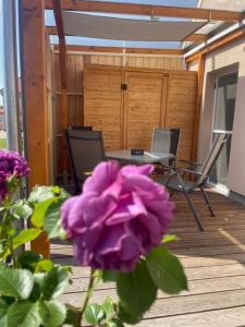 eine Terrasse mit einem Tisch, Stühlen und einer lila Blume in der Unterkunft Haus am gelben Berg in Dittenheim
