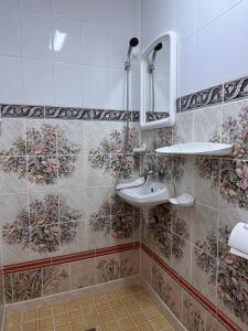 a bathroom with a sink and a mirror at Pensiunea Landhof Apfel Mayr in Bazna