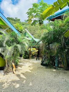 einen Garten mit Palmen und einem Gebäude in der Unterkunft Surf Paradise in Playa Santa Teresa