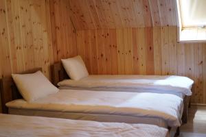 two beds in a room with wooden walls and a window at Villa standard n'Bjeshkë in Dragash