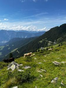 Paesaggio naturale nelle vicinanze del bed & breakfast
