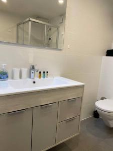 een badkamer met een witte wastafel en een toilet bij Le Mont-sur-lausanne: superbe studio ! in Le Mont-sur-Lausanne