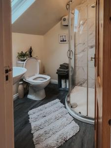 La salle de bains est pourvue de toilettes, d'une douche et d'un tapis. dans l'établissement Dunard house., à Tullaha