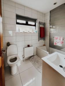 uma casa de banho com um WC e um lavatório em Dunard house. em Tullaha