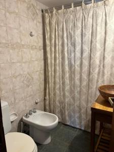 e bagno con lavabo e tenda per la doccia. di El Cortijo del Chorrillo a San Luis