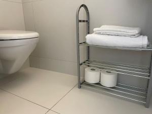 een badkamer met een toilet en 3 rollen handdoeken bij Studio proche de la gare ! in Lausanne