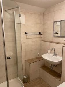 ein Bad mit einem Waschbecken und einer Dusche in der Unterkunft Ferienwohnung-Ferienhaus am Picho in Arnsdorf