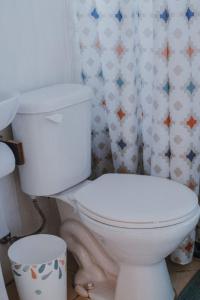 a bathroom with a white toilet and a shower curtain at CABAÑAS TRAPEN in Puerto Montt
