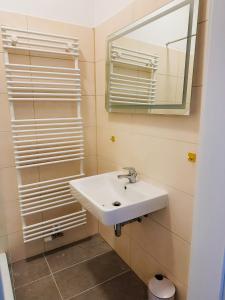 a bathroom with a sink and a mirror at Wohngut-City Apt. 1 Zi. 1 DB + 1 EZ 34 qm mit Parkplatz in Hagen