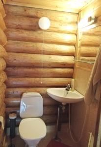 a bathroom with a toilet and a sink at Romeo Lomamökki in Lapua