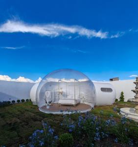 a glass dome house with a bed in a garden at Hotel Wanderlive in Querétaro