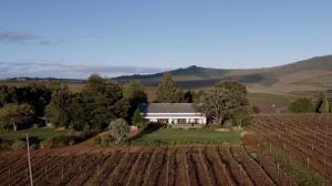 a white house in the middle of a vineyard at Fransmanskraal Accommodation - Luxury Stellenbosch Farm Villa in Stellenbosch