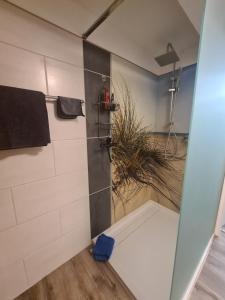 a bathroom with a shower stall with a shower at Wohnung mit 2 Schlafzimmern in Wutöschingen