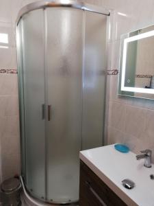 eine Dusche im Bad mit Waschbecken und Spiegel in der Unterkunft Ubytování Maxa in Špičák