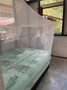 a bed with a mosquito net on top of it at Hostal El Chileno Sapzurro in Sapzurro