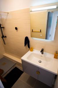 a bathroom with a white sink and a mirror at Sibèl Appart in Fort-de-France