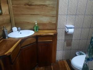 uma casa de banho com um lavatório e um WC em Oski Lodge, Rain Forest Rincón de la Vieja em Upala
