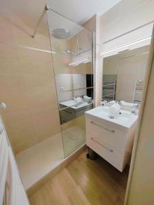 ein Bad mit einer Dusche, einem Waschbecken und einem Spiegel in der Unterkunft T2 - au coeur de la roche in La Roche-sur-Yon