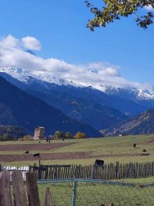 Paesaggio naturale nelle vicinanze della stanza in casa privata