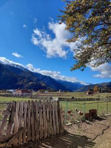 Paesaggio naturale nelle vicinanze della stanza in casa privata