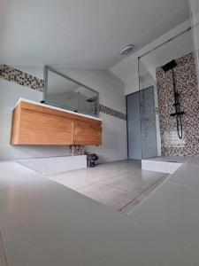 a bathroom with a shower and a mirror on the wall at Villa Piton Textor in La Plaine des Palmistes