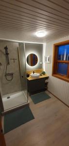 a bathroom with a shower and a sink at Cottage with Glass Bubble and Hot tub in Reykholt