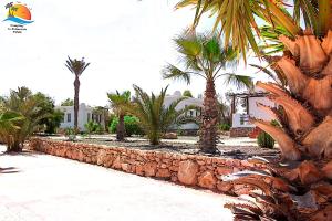 a row of palm trees and a stone wall at Camping la palmeraie Tifnit in Tifnit