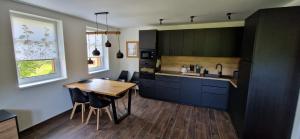 Kuchyň nebo kuchyňský kout v ubytování Apartmán U Ludvíčka