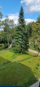 Zahrada ubytování Apartmán U Ludvíčka