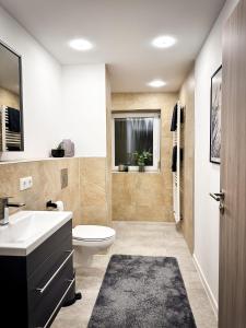 bagno con lavandino, servizi igienici e finestra di Schönes modernes Einfamilienhaus für 1 bis 6 Personen a Rimpar