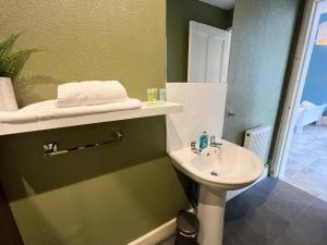 a green bathroom with a sink and a mirror at Cozy Studio Apartment of Glasgows West End in Glasgow