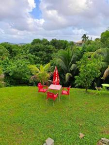a table and chairs with a red umbrella on the grass at Maison charmante à Rivière-Salée avec piscine privée in Rivière-Salée