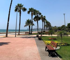 a park with two benches and palm trees and the ocean at Deniz One Bedroom Appartment in Mezitli