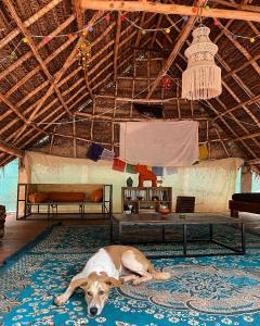 un perro tirado en una alfombra en una habitación en Nebula Nest Cafe & Hostel, en Auroville